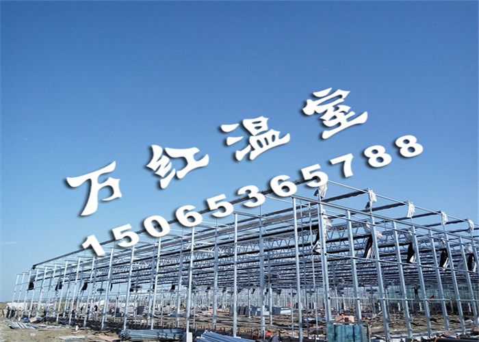 大型智能連棟花卉市場(chǎng)溫室骨架